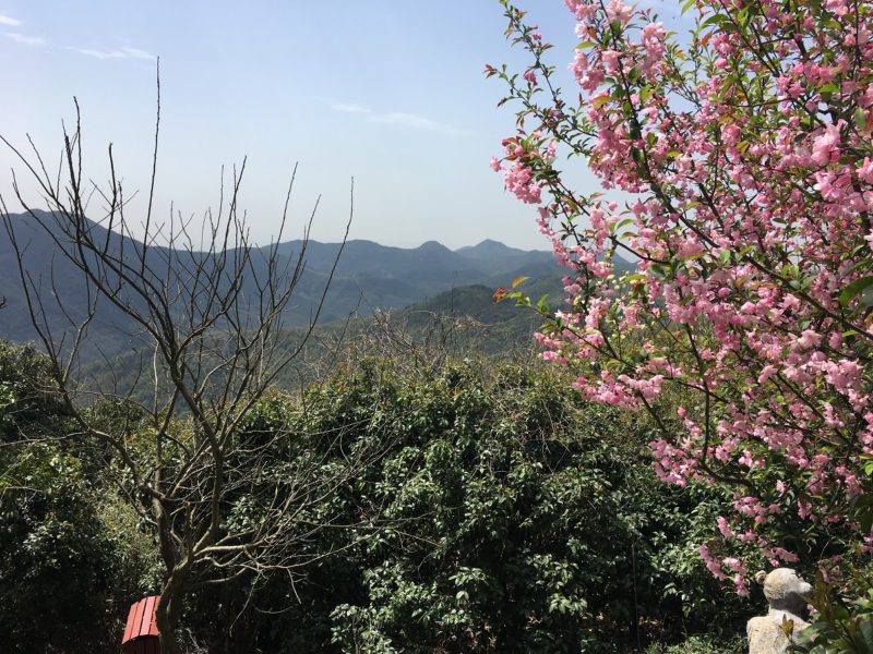 Cixi Dapeng Mountain, Ningbo Dapeng Mountain, Xufu, Xufu cultural park, Xufu Cultural Park, Ningbo, Ningbo attractions, China